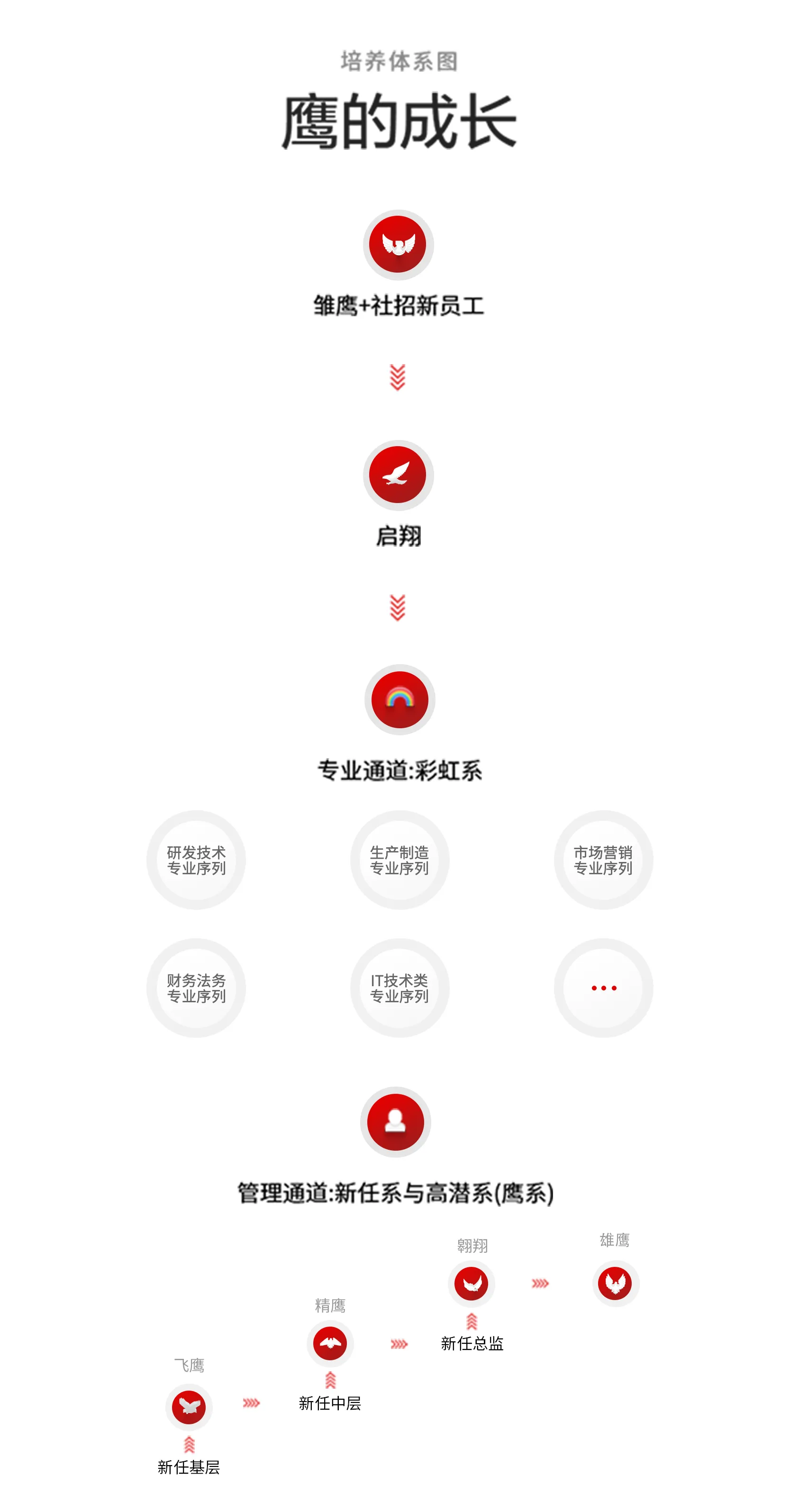 TCL 鷹系人才培養(yǎng)體系
